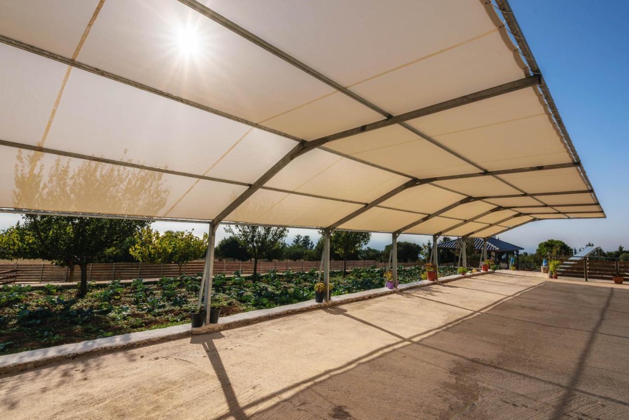 Alonaki Apartments Agios Leon المظهر الخارجي الصورة
